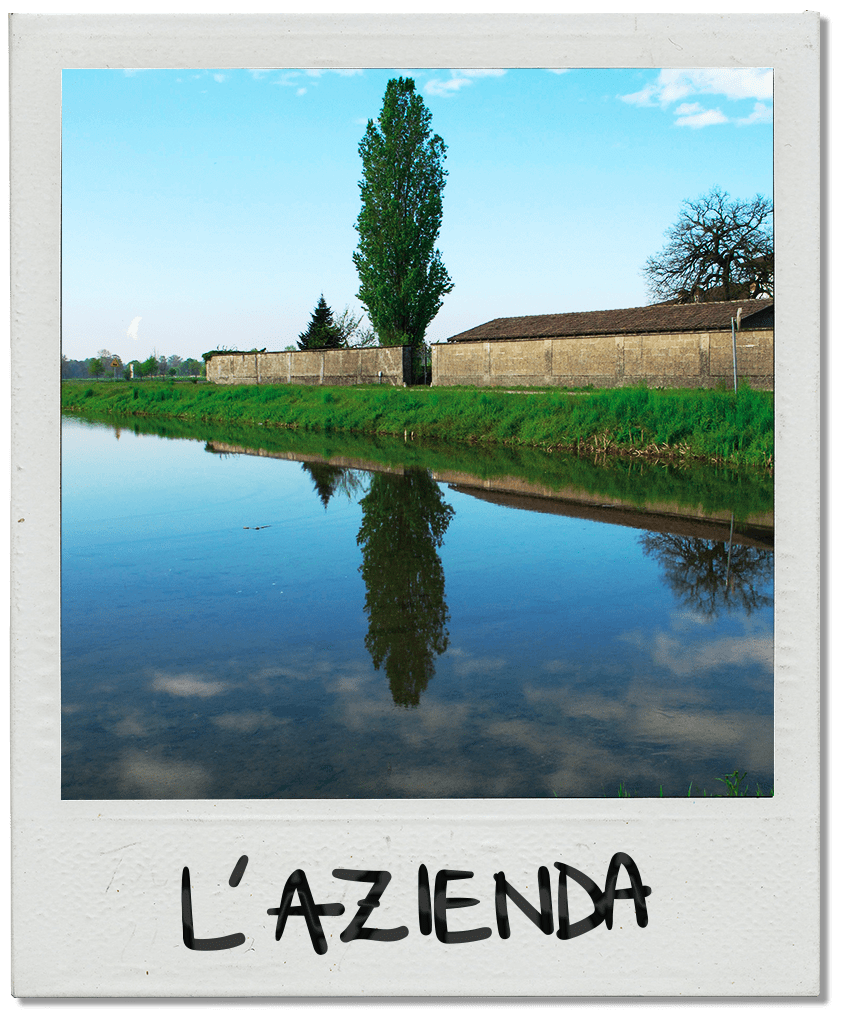 Azienda-agricola